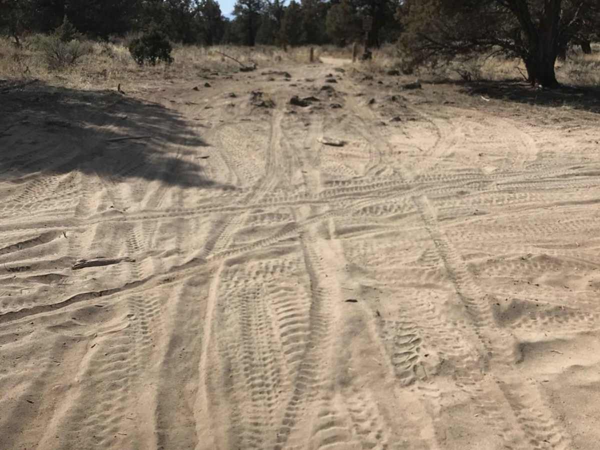 Millican Plateau Trail 84 photo 3