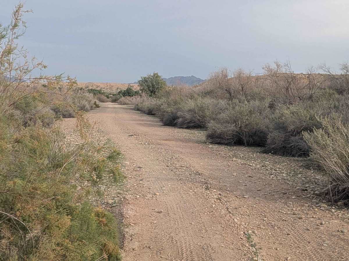 Trigo Wash EC1209 photo 5