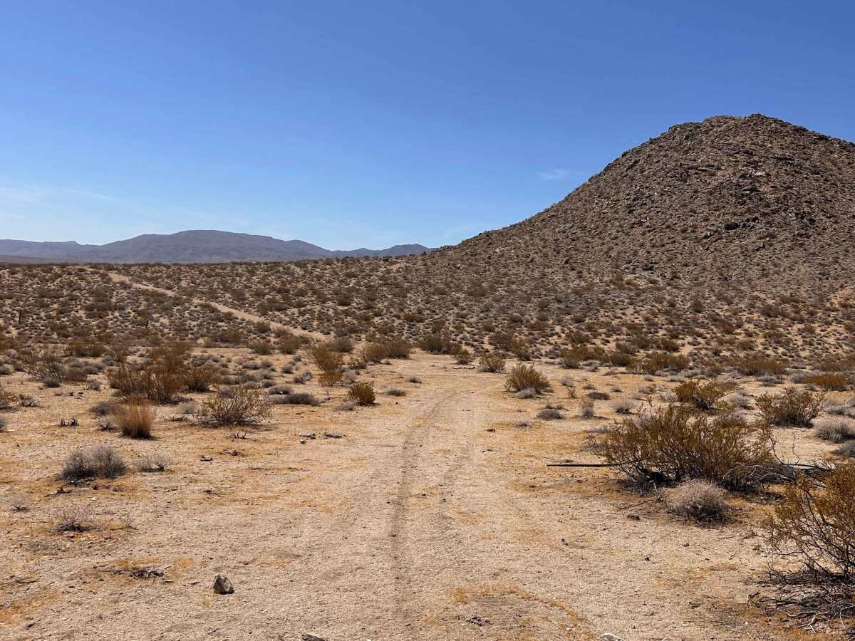 Blackbrush Trail photo 5