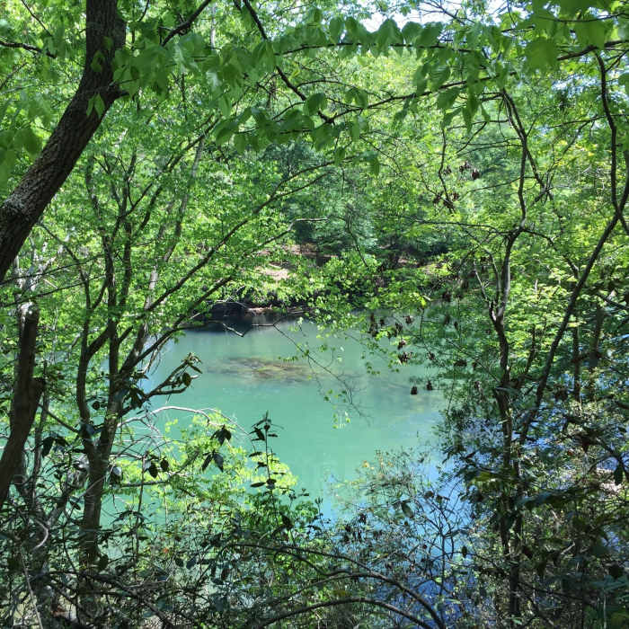 All the shades of blue and green. The Chattahoochee River through the trees. Near Medlock Loop