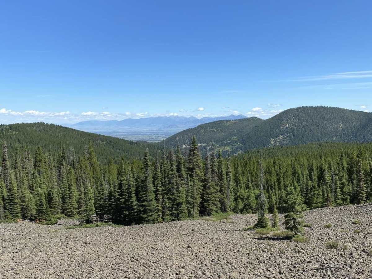 Wilson Creek Divide Road photo 3