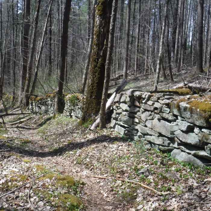 The oldest wall in Great Smoky Mountain National Park. Near Cataloochee Divide Trail