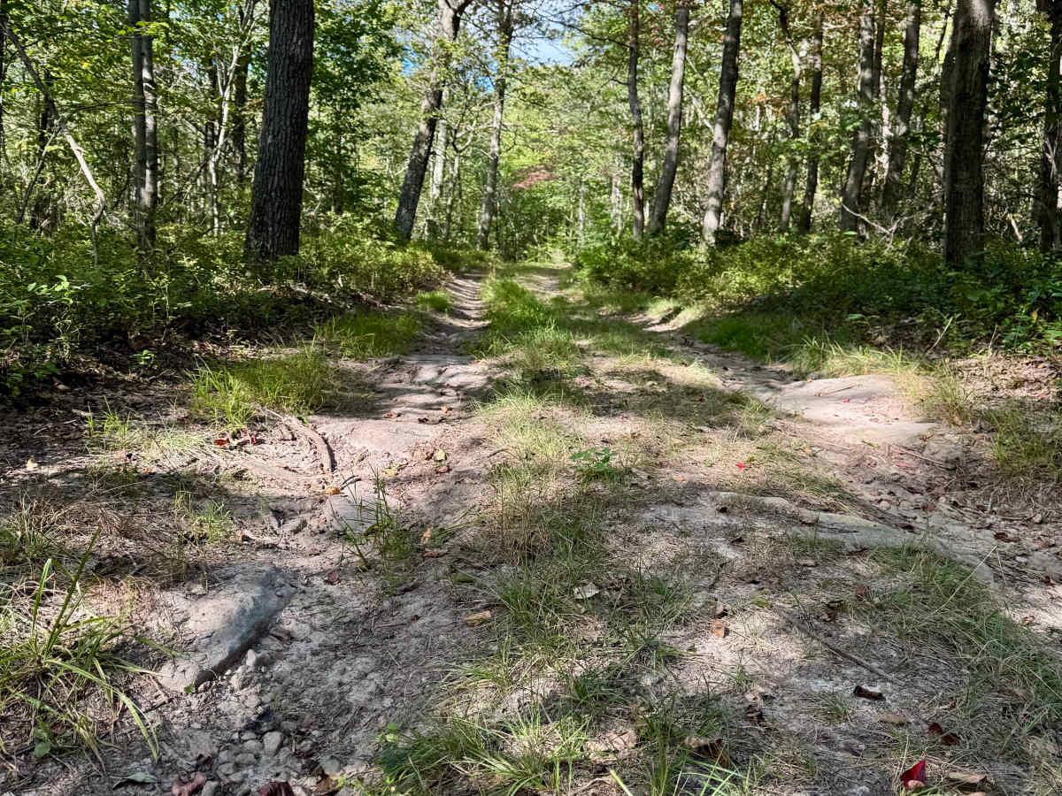 King Trail trail photo