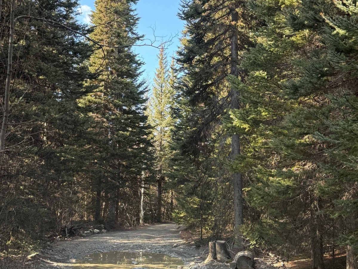 Kingdom Lake photo 4
