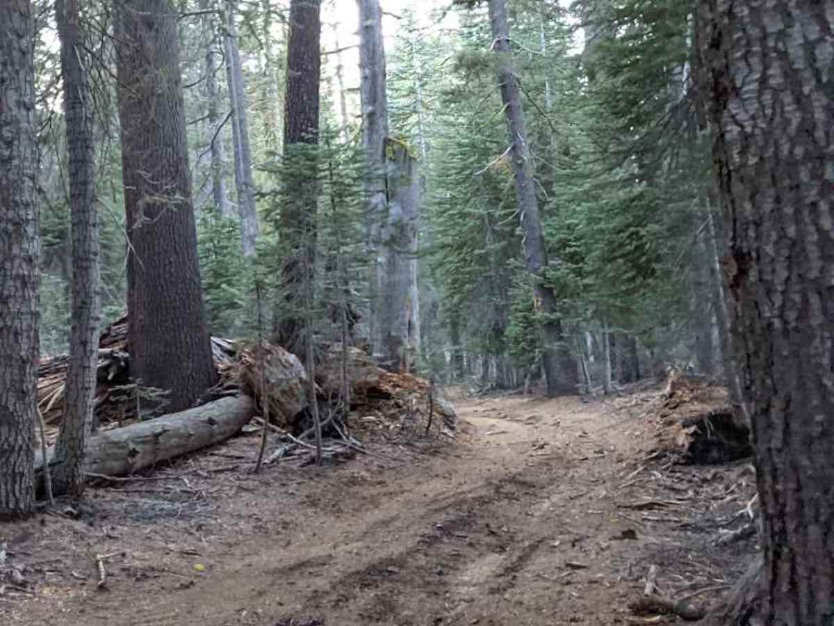 Deer Valley photo 5