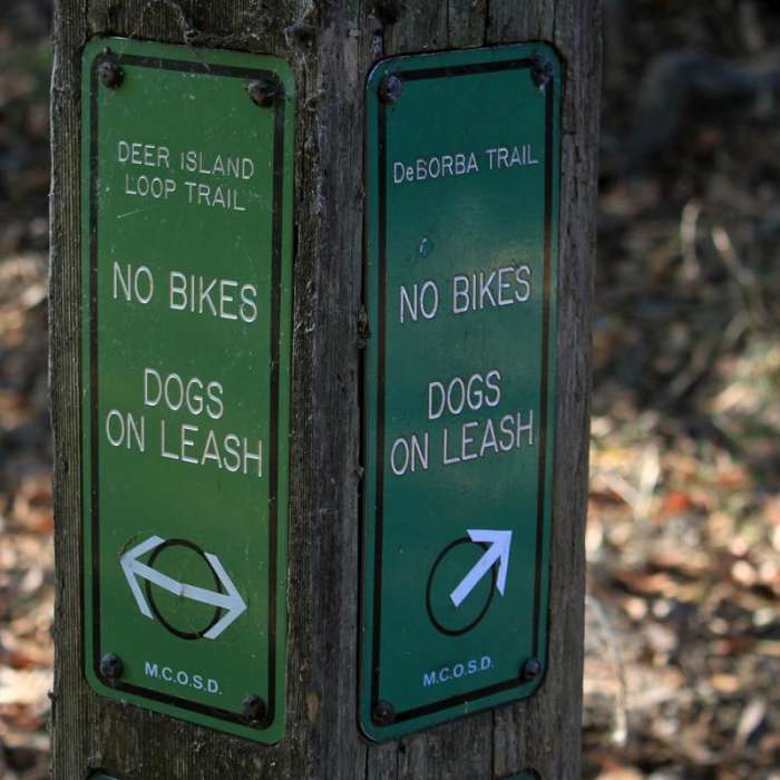 Near Deer Island Open Space Preserve