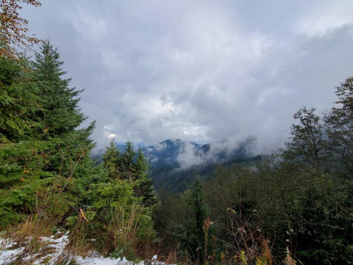 East Creek Overlook photo 4