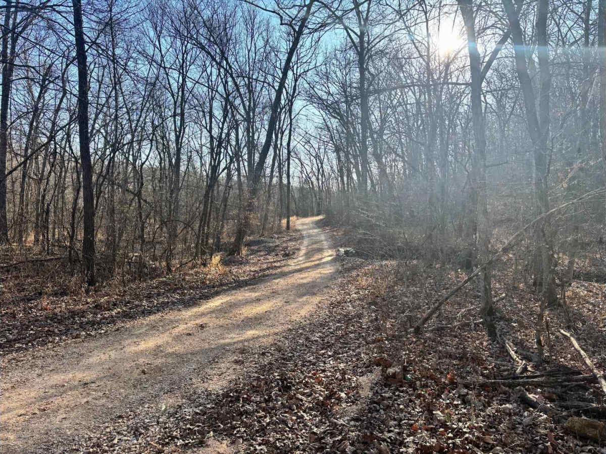 Coffee Creek Road  photo 3