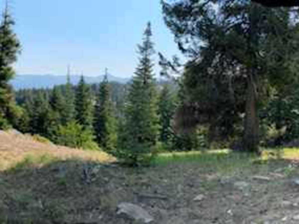 Tipton to South Fork photo 5
