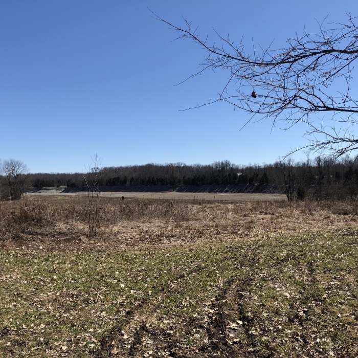 Near Spillway Overlook Trail
