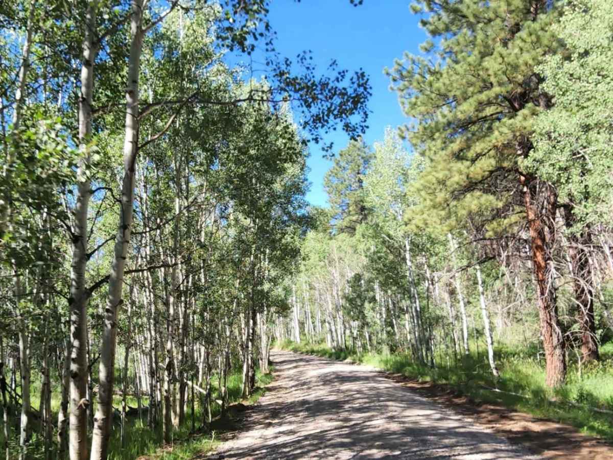 Trail Canyon photo 5