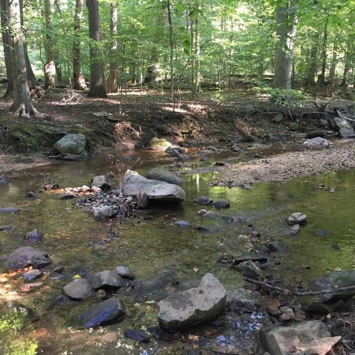 Near Morning Choice Loop