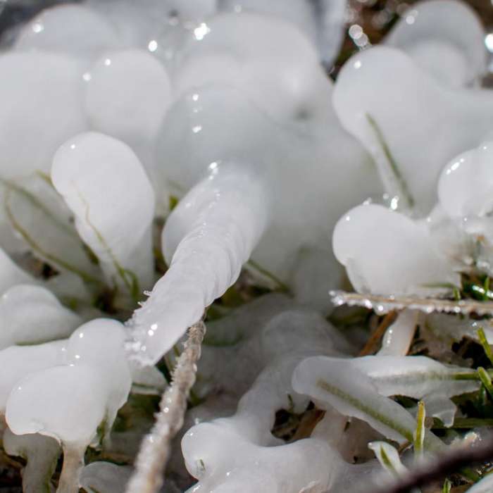 Near Fall River Trail