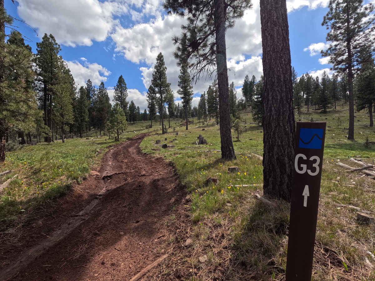 Trail G3 Hillclimb trail photo