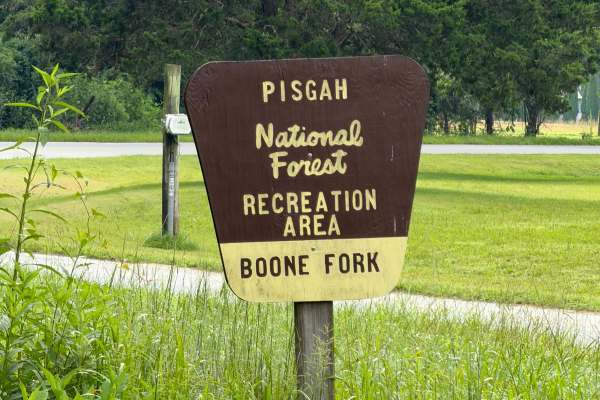 Boone Fork - FS 2055