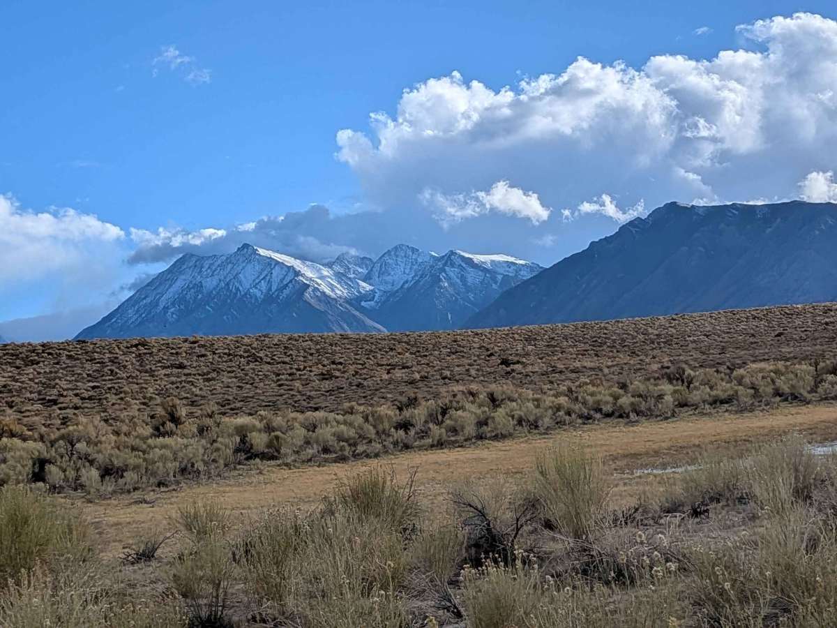 Wild Willy's Hot Springs photo 5