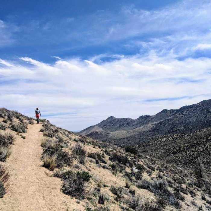 Near Walker Pass to Morris Peak