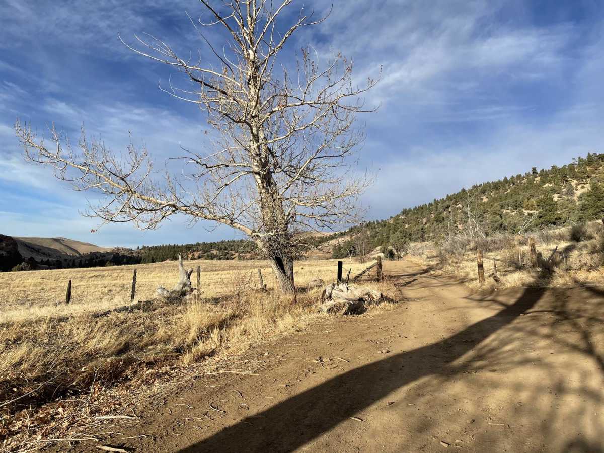 Carson River East Fork Hot Springs Trail photo 2