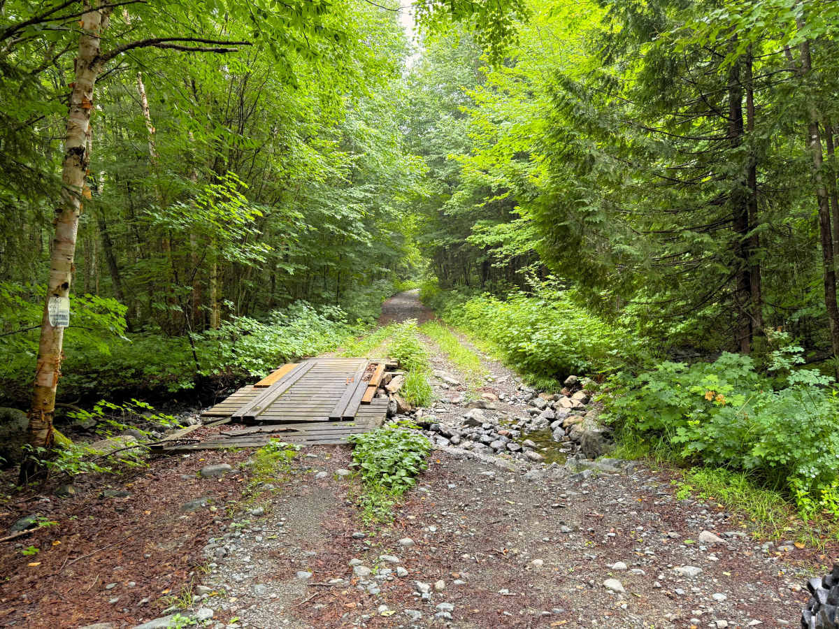 Batchawana Fire Lookout Trail  photo 3