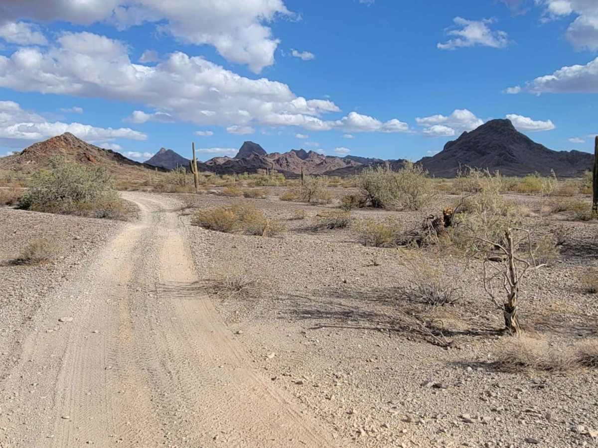 Trail 0079 photo 3