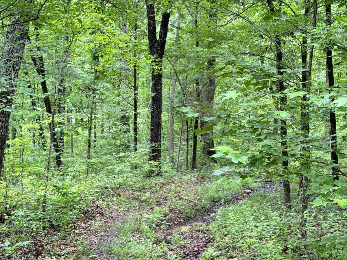 West Prong Passage photo 6