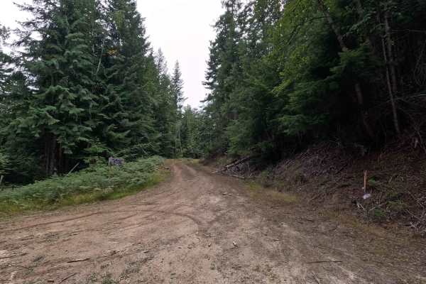 Consalus Creek Road - FS 1108