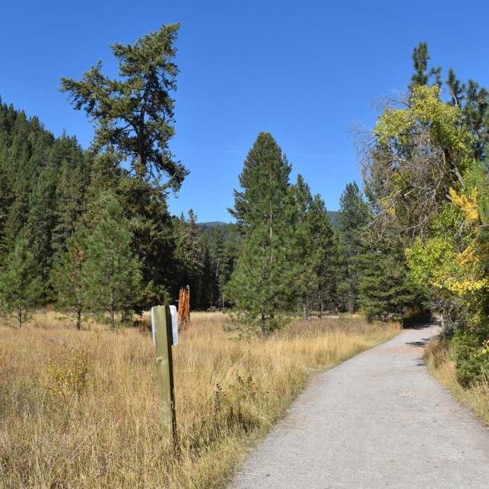 Near Rattlesnake Creek + Spring Gulch Loop