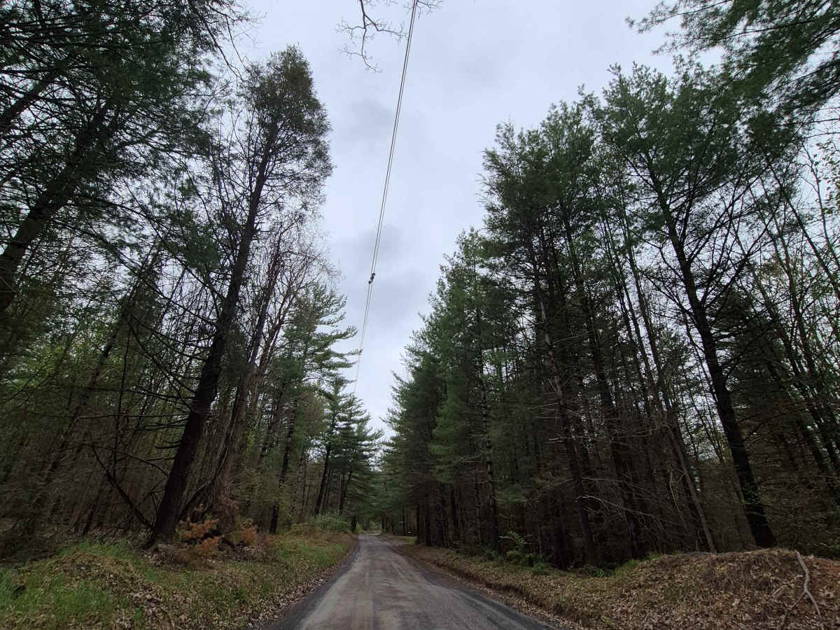 Siglerville-Millheim Pike trail photo