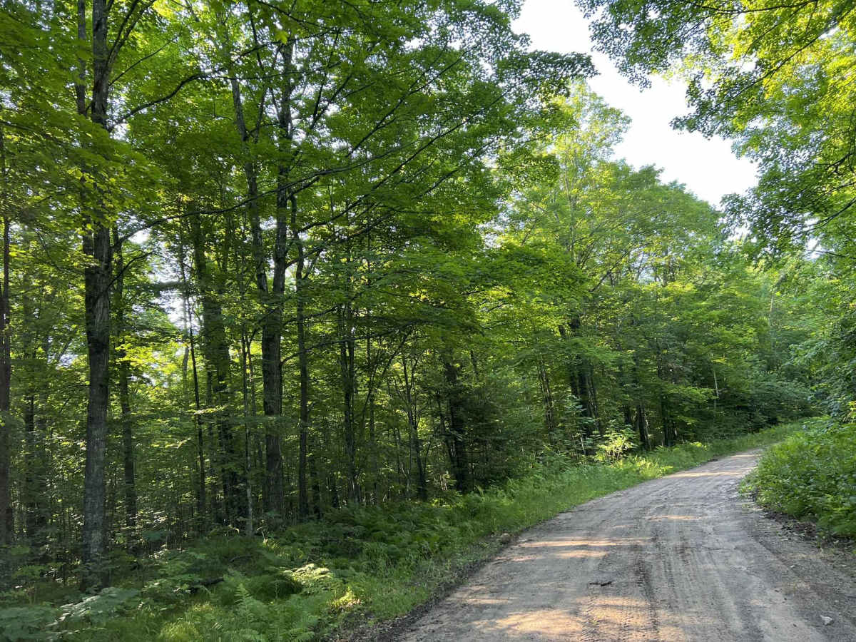 Northwoods Drive photo 3
