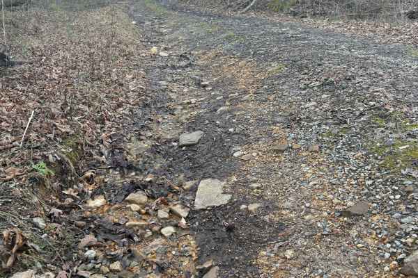 Stover Creek Ridge - FS 207A