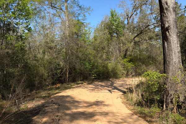 Penny Creek Road