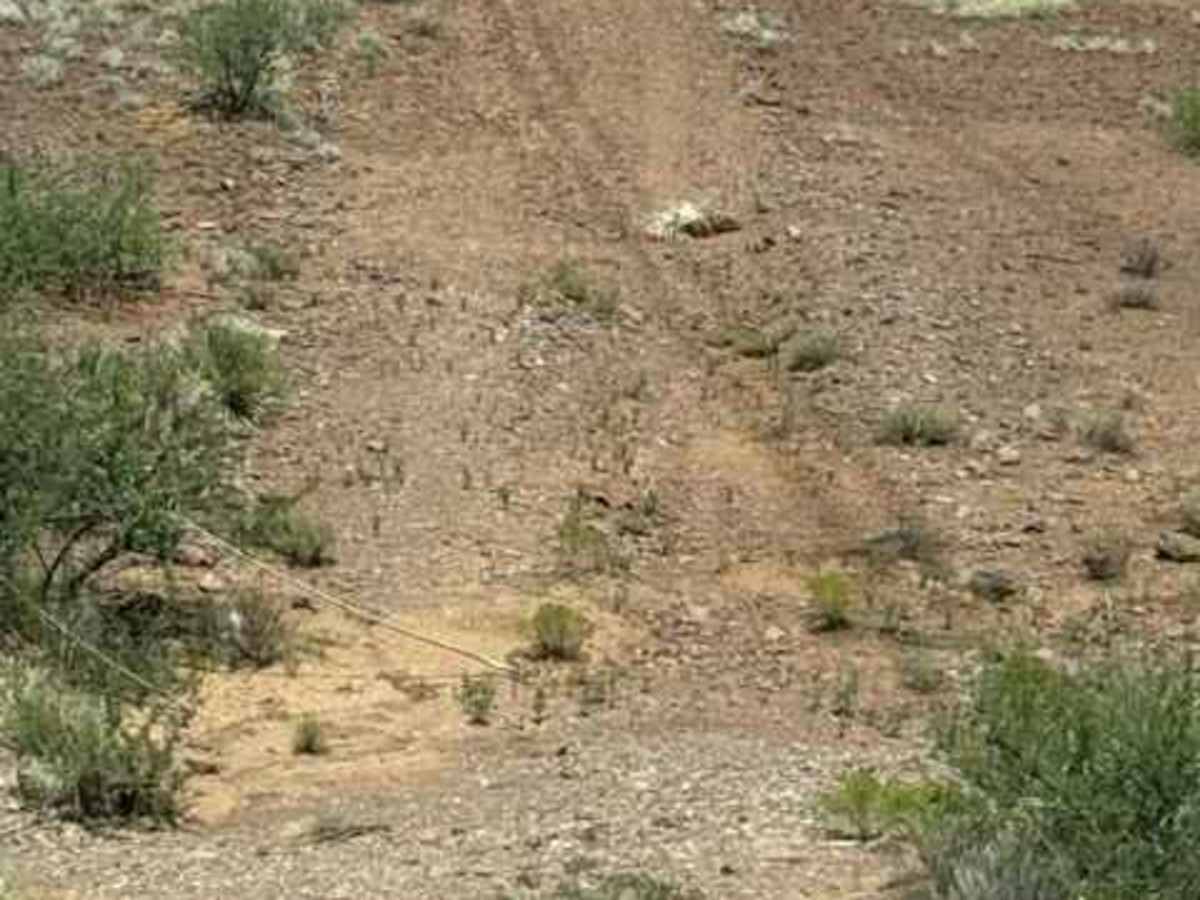 BLM PE1211 photo 3