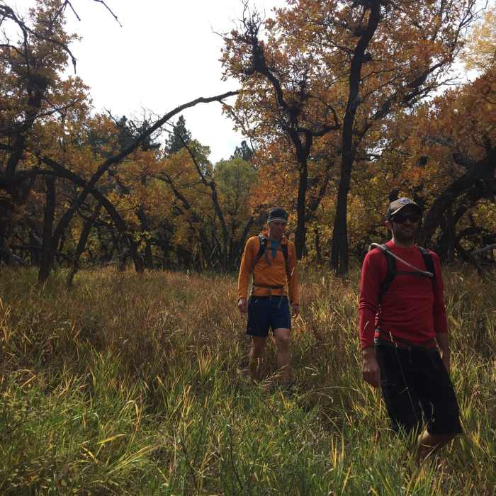 Near the start of the Hammond Canyon Trail. Near Hammond Canyon (012)