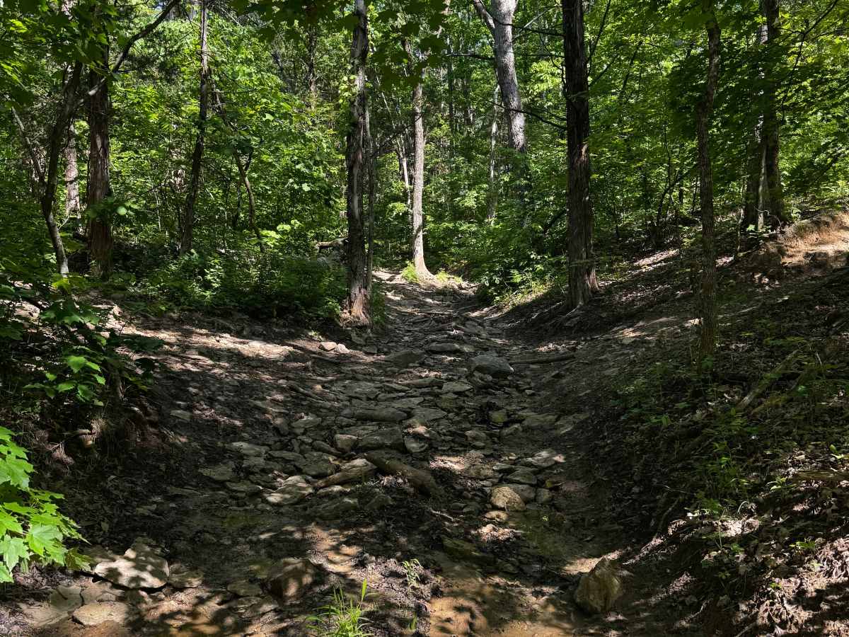 Double Hump trail photo