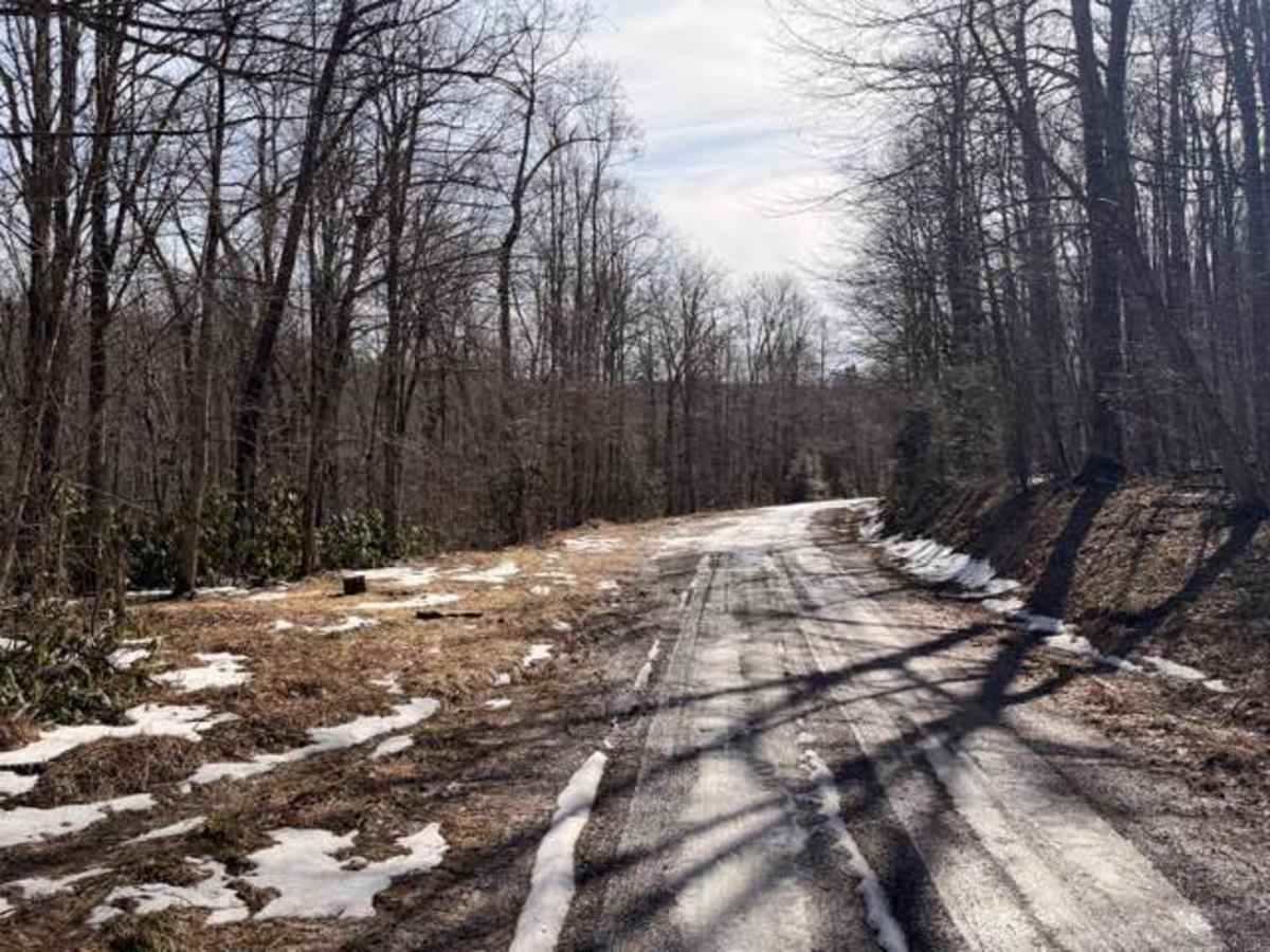 McGowen Mountain  trail photo
