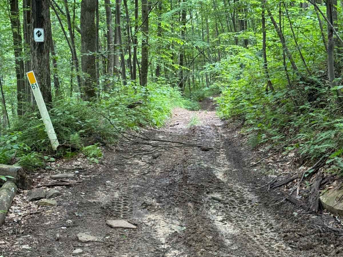Trail 29 photo 6
