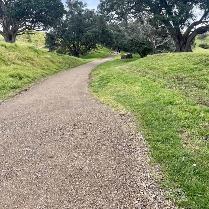 Near Mangere Mountain