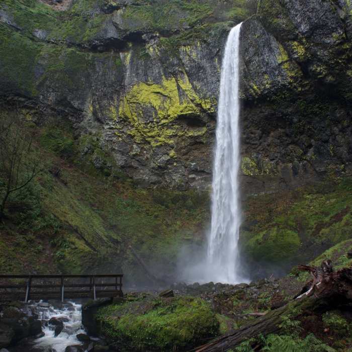 This is a view of the falls and the footbridge that crosses the creek. Near Elowah Falls