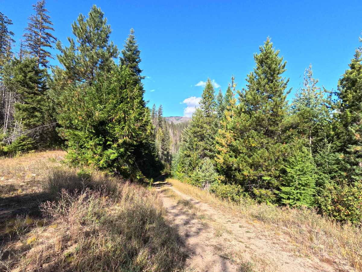 Klahowya Creek N - FS 1075N trail photo