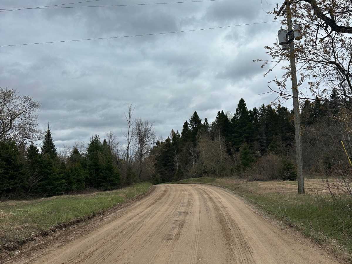 North Kolka Creek Road photo 5