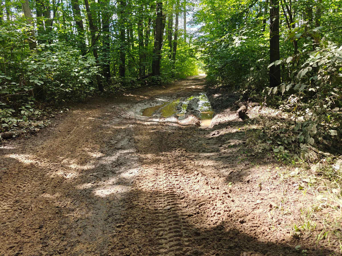Timreck Track photo 5