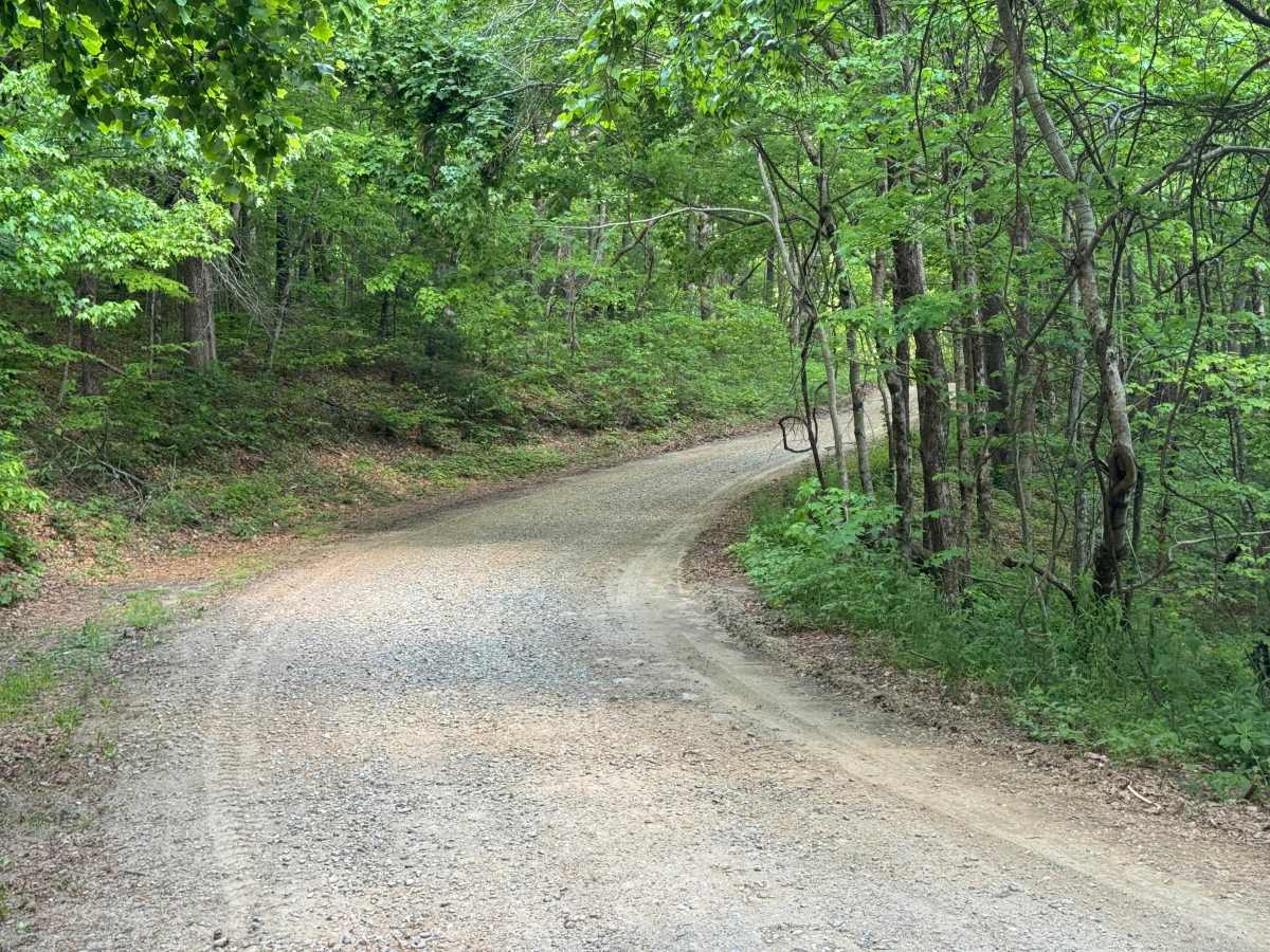 Blue Ridge - FS 42 photo 5