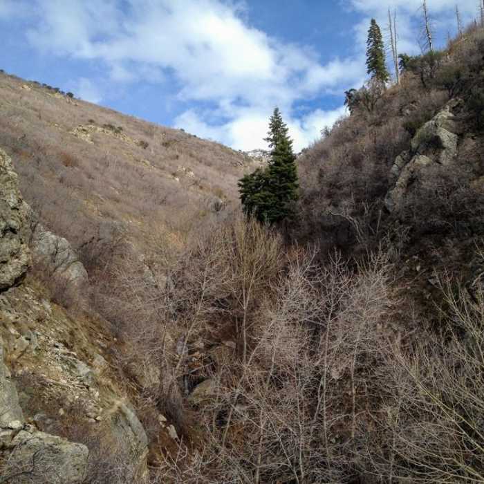 Near Rudd Canyon