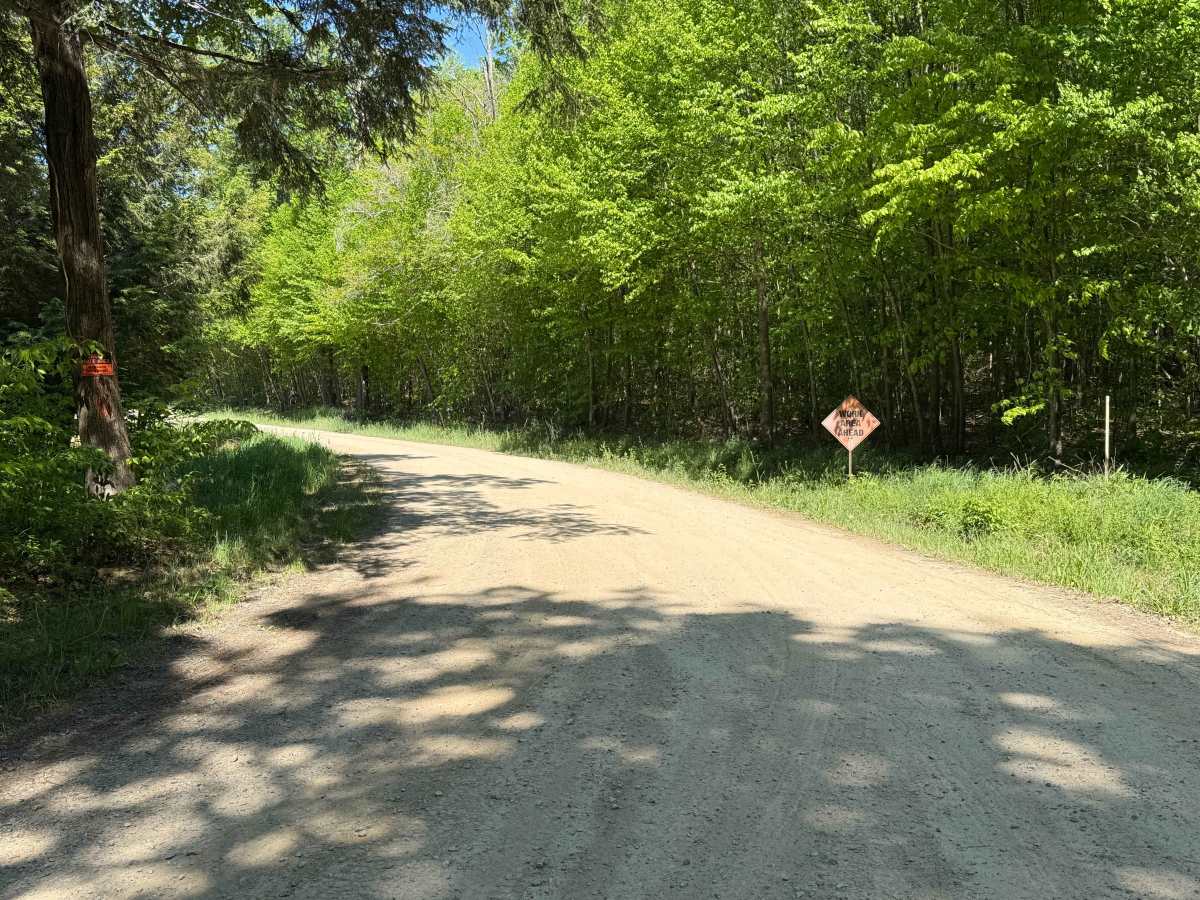 Kyler - FS 364 trail photo