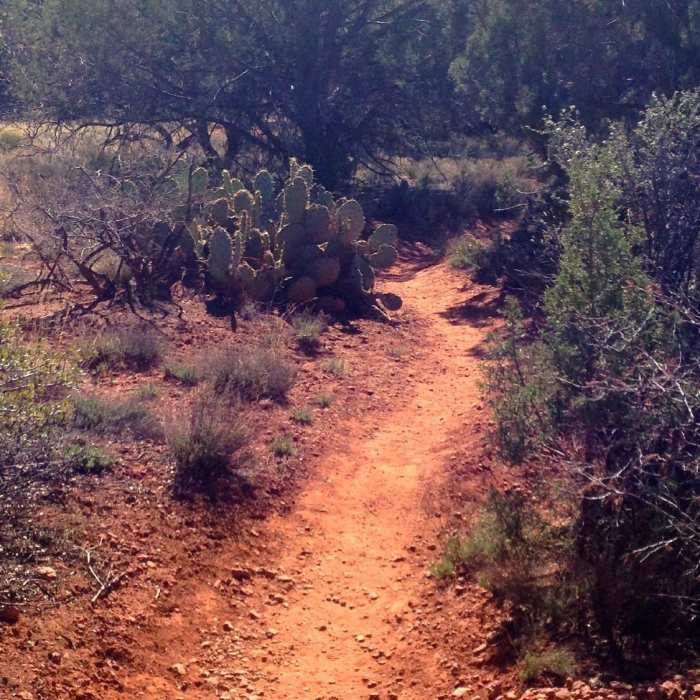 Near Carroll Canyon Trail