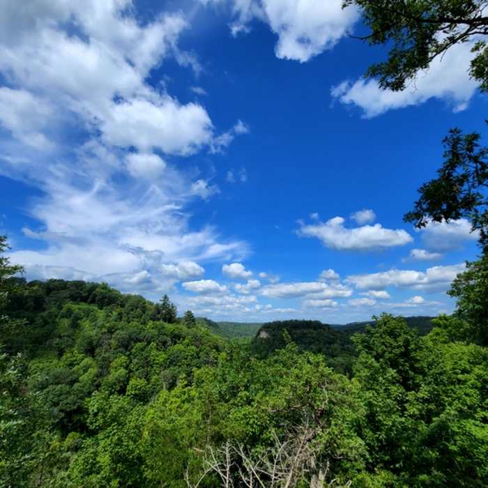 Near Inspiration Point Trail