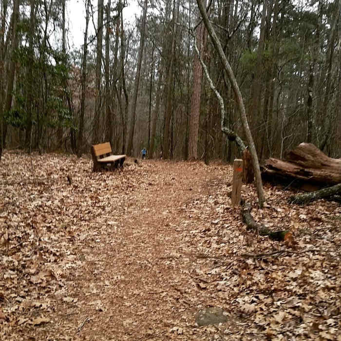 Near Environmental Loop Trail
