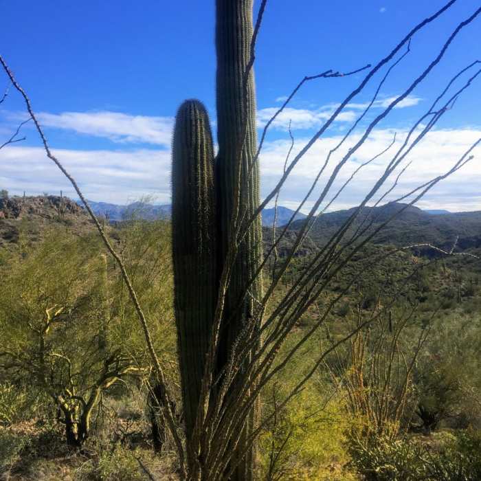 Near Black Canyon Trail: Black Canyon City to Table Mesa Trailhead