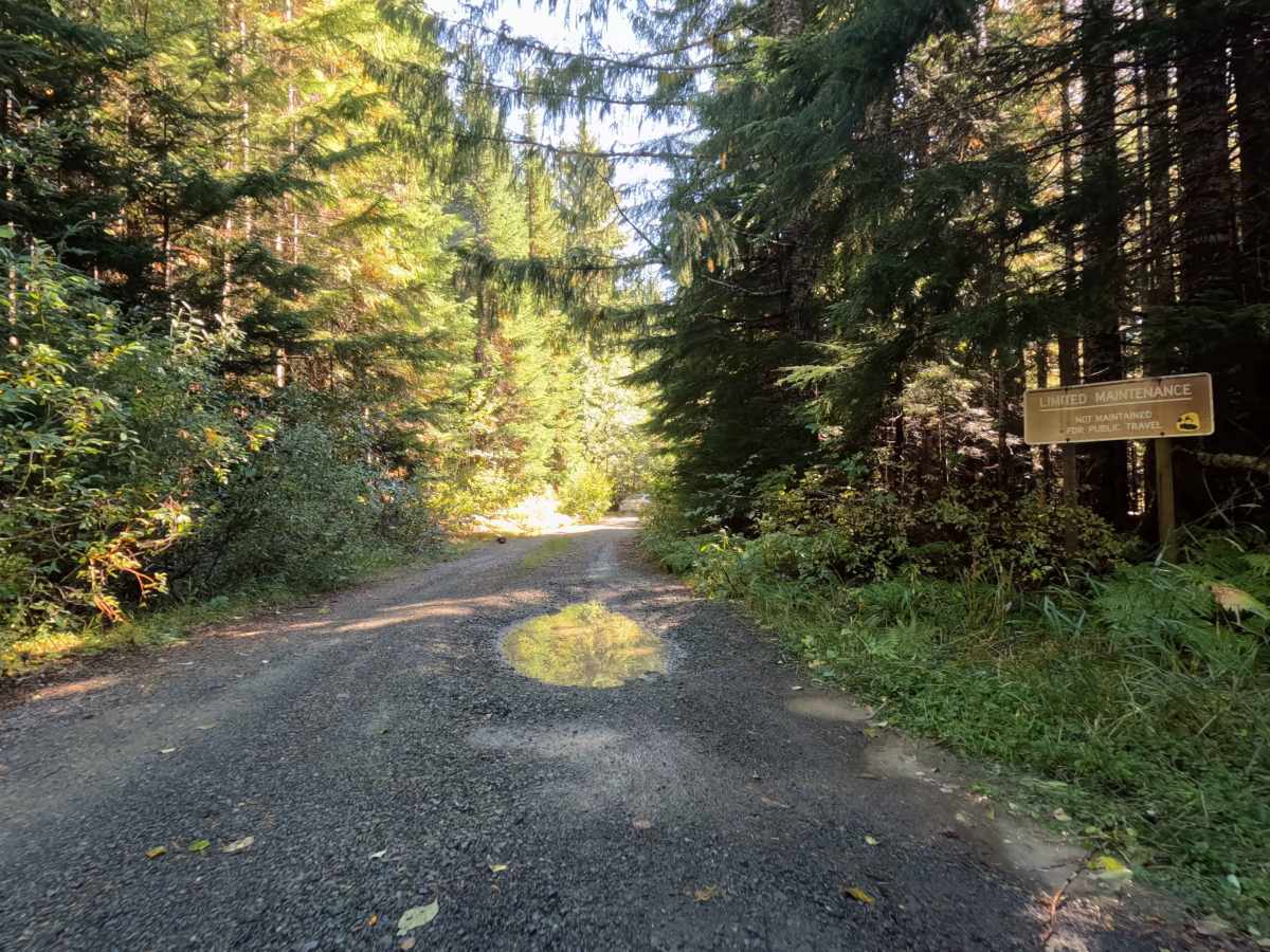 St Helens Way - FS 8320000 trail photo