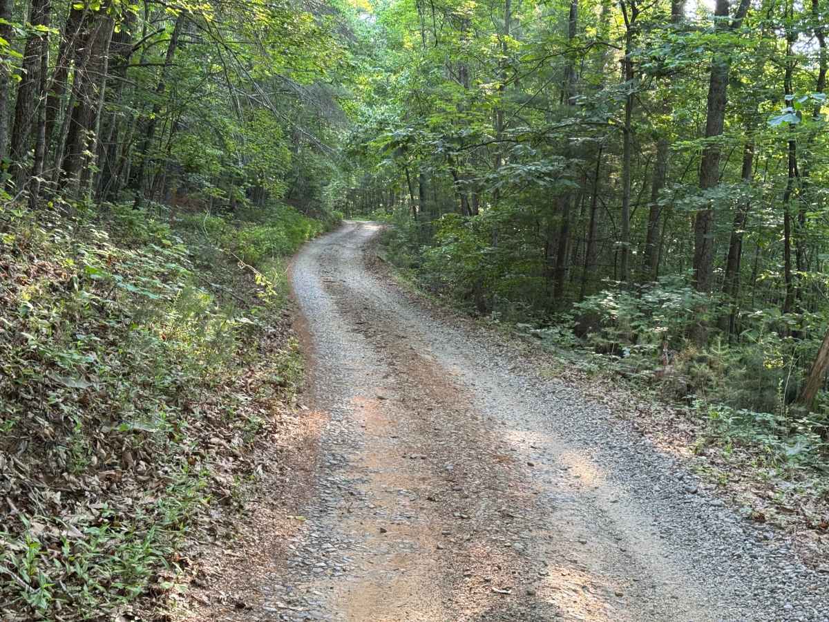 Beasley Knob North Entrance  - FS 93 photo 3